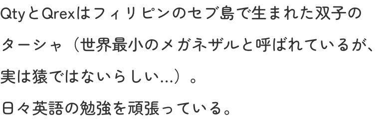 QtyとQrexはフィリピンのセブ島で生まれた双子のターシャ（世界最小のメガネザルと呼ばれているが、実は猿ではないらしい…）。日々英語の勉強を頑張っている。