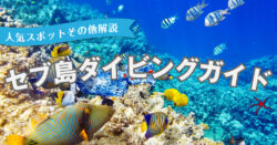 4 1 4｜ セブ島ダイビング完全ガイド｜初心者でも安心！人気スポット・持ち物・楽しみ方