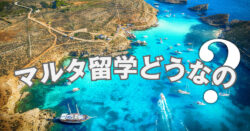 6 1 1｜ マルタ留学は意味がない？その背景と改善策