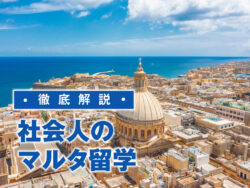 1 1 1｜ 社会人のマルタ留学ガイド｜費用・メリット・体験談・学校選び