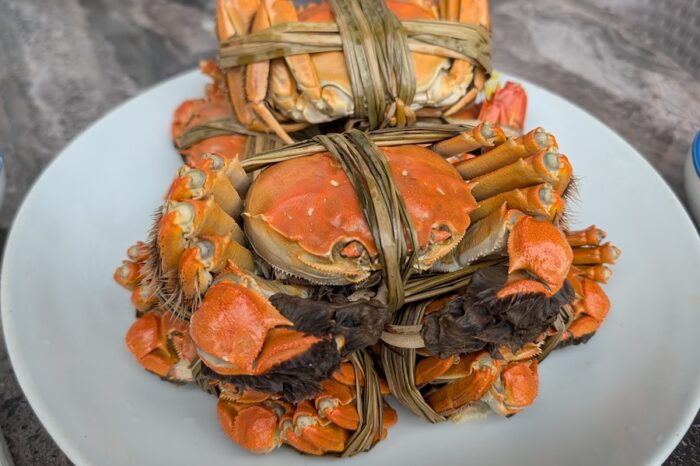 20251112 051603| 地元のカニ漁師が教える美味しい上海ガニの見分け方と食べ方