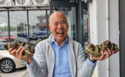 地元のカニ漁師が教える美味しい上海ガニの見分け方と食べ方