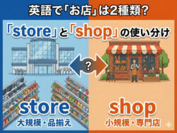 qq top4｜ 英語で「お店」は2種類？「store」 と 「shop」 の使い分けをわかりやすく解説
