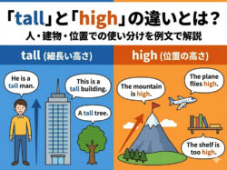 tall｜ 「tall」と「high」の違いとは？人・建物・位置での使い分けを例文で解説