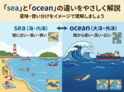 ocean｜ 「sea」と「ocean」の違いをやさしく解説します｜意味・使い分けをイメージで理解しよう